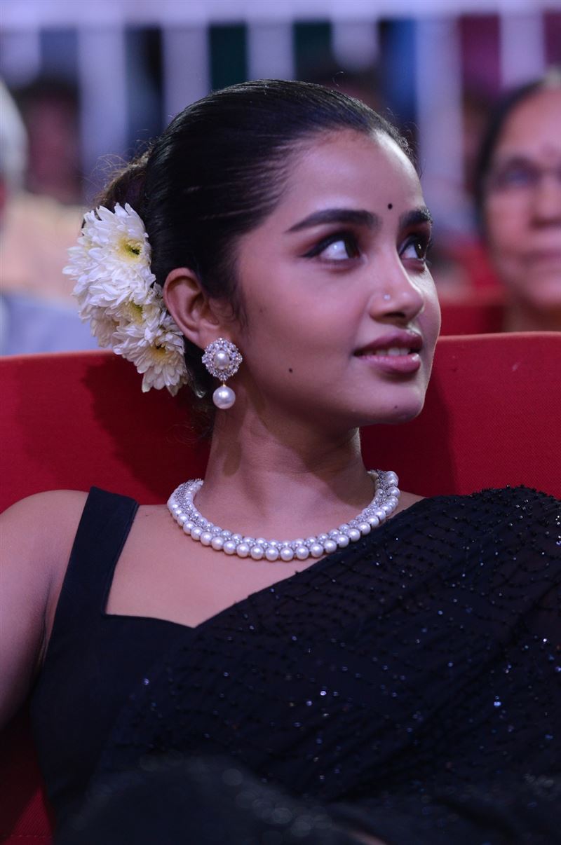 Anupama Parameswaran at Tillu Square Movie Celebrations23